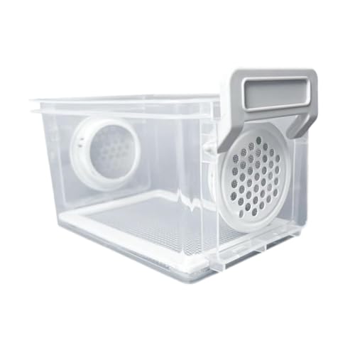 Breeding Box, Reptile Feeding Box, Transparent Terrarium, Habitat, Animal Holder for Raising Mealworms, Style B - color: style B