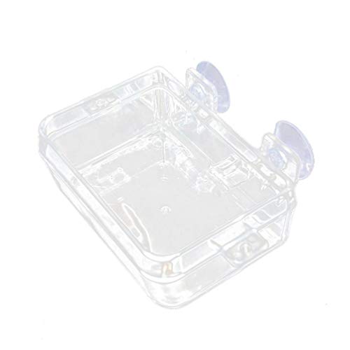 POPETPOP Turtle Food 2 Pcs Reptile Food Dish - Bowl - Reptile Feeding - Water Dish Gecko Feeder -Escape Supplies Accessories for Lizard Bearded Dragon Snakes Lip Gloss Set