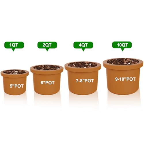Doter Organic Potting Soil Mix for All Indoor & Outdoor Small Containers Including Herbs, Vegetables, and Flowers 1 qt - size: 1qt