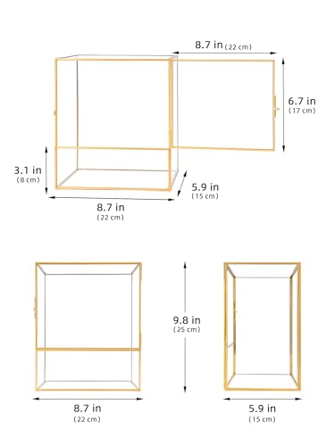 REDHUGO Glass Planter Terrariums with Door, Glass Terrarium Glass Greenhouse, Geometric Plants Terrariums Planter for Moss, Succulent, Indoor Tabletop Centerpiece, Rectangle, Gold (Terrarium ONLY) - color: Gold