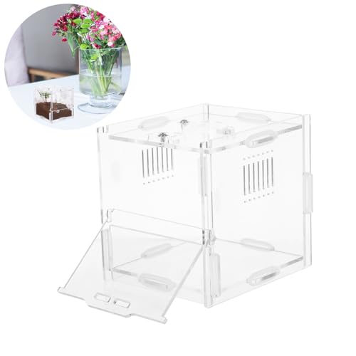 Small Acrylic Reptile Breeding Box with Ventilation Animal Habitat Cage for Spiders Jumping Spiders and Small Amphibians Terrarium for Indoor Pet Keeping