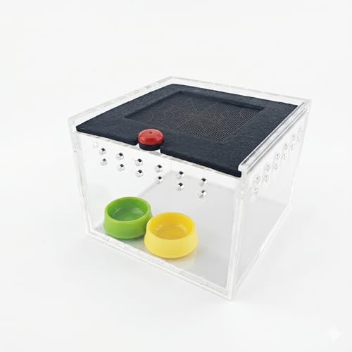 Cricket Keeper - Escape-Proof Insect Habitat Container for Dubia Cockroaches, Tarantulas, Spiders and Breadworms - Ventilated Bug Cage with Feeding Bowl (No Assembly Needed) (Transparent) - color: transparent