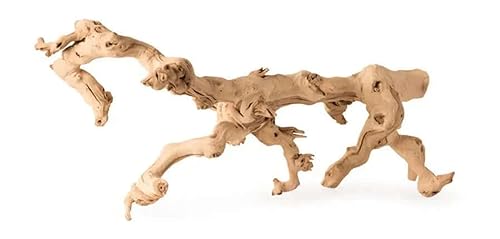 Galápagos (05525) Walking Wood™ - Natural Grapevine Branch for Arid Terrariums, Bearded Dragon, Leopard Gecko, Reptile Basking and Enrichment Décor, 19-24 in