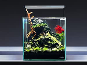 LANDEN Dark SEIRYU Stones Natural Rocks (3~11 inches,11pcs) x2 40Lx 2 Cases Total 80L 37lbs for Aquarium, Paludarium, Terrariums, Landscaping Rocks, Decorative Aquarium Rocks - size: 09 Dark Seiryu Stones(3-11inch,36lbs)