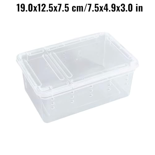 Reptile Terrarium with Ventilation for Small Animal Housing and Habitat - size: 19x12.5x7.5 cm