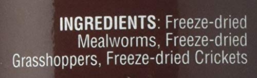 Fluker's Bearded Dragon Medley Treat Food,3.2-Ounce (72023),(Pack of 2) - size: 3.2 Ounce (Pack of 2)