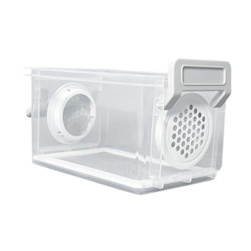 Breeding Box, Reptile Feeding Box, Transparent Terrarium, Habitat, Animal Holder for Raising Mealworms, Style A - color: style A
