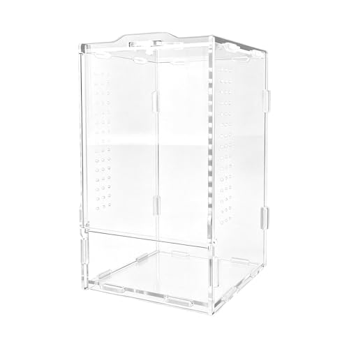 Genérico Jumping Spider Terrarium - Habitat Acrylic Tarantulas,Religious Mantis Enclosure | for Breeders Pet Lovers Educators School Projects Living Room Study Stores Office