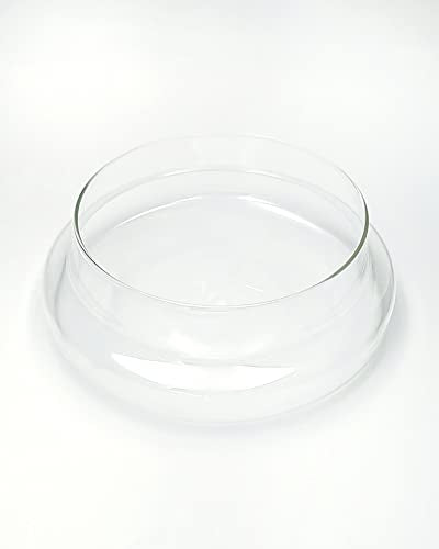 Handblown 12" Glass Terrarium with Opening for Air Flow & Cork Stopper Cloche Style Glass Dome Vivarium Display Case (Extra Large) - size: Extra Large