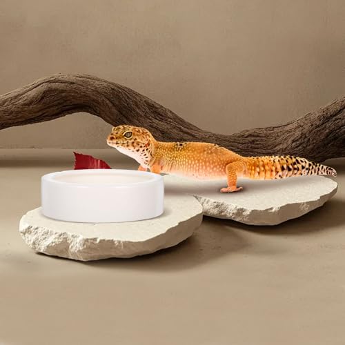 Reptile Feeding Bowls with Stable Desktop Standing Ceramic 2 Pcs for Small Lizards and Anti-Escape Design, White Round Food and Water Dishes for Reptile Feeding