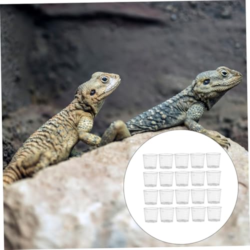 Abaodam 30Pcs Reusable Measuring Cups for Reptiles Feeding Dish for Lizard Gecko Snake Safe Food Water Containers for Pets for Daily Feeding Control