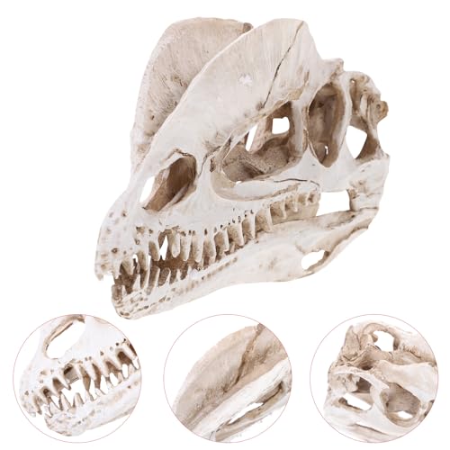NUOBESTY Resin Dinosaur Skeleton Aquarium Decoration Dinosaur Skull Skeleton Ornament Fish Tank Aquarium Terrarium Decoration