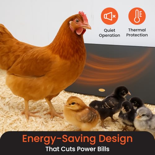 Cozy Products Cozy Coop, Chicken Coop Heater, Flat-Panel Radiant Heater with Thermal Protector, Energy-Efficient, Easy to Install, Ideal for Small Animals, 200 Watts, Black