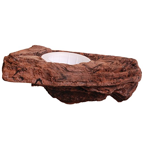 Large Worm Feeder Ledge Earth - Magnetic Decor
