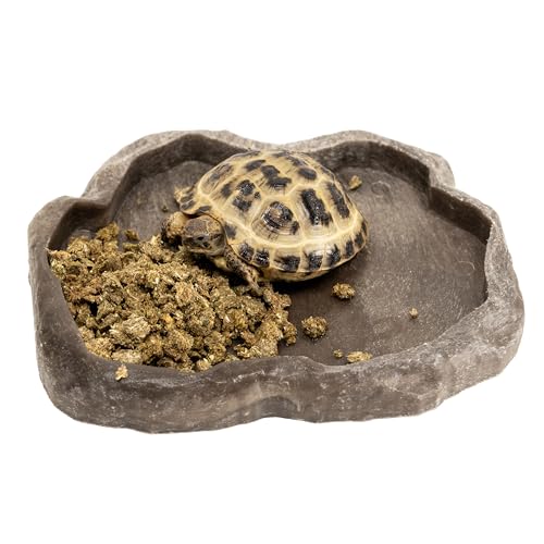 Zoo Med - Food CRMBL TORTSE 16OZ