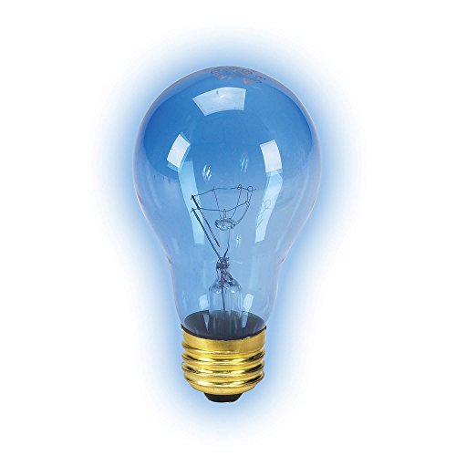 Day Blue Incandescent Bulb
