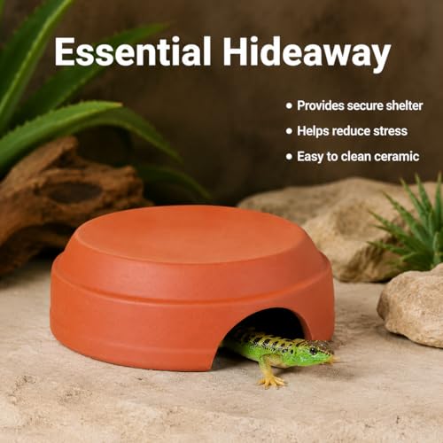 Terracotta Snake Hide, Reptile Hide Cave for Geckos Scorpions, Terrarium Decor Reddish Brown 100g, Average Reptile Hide (Diameter - size: average Reptile Hide (Diameter