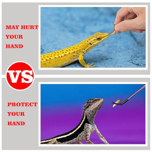 2-Pack Professional Reptile Nail Clippers&Stainless Steel Reptile Feeding Tongs Suitable for Small Animals Such as Cats, Birds, Hamsters, Rabbits, Hedgehogs, Ferrets, Chinchillas, Guinea Pigs,Etc