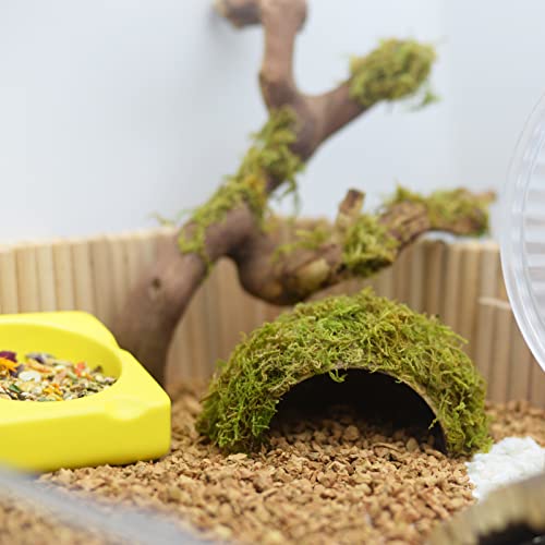 Hamster Hideaway/Hideout,Mossy Cave Hide,Hamster House/Hides,Hamster Cage Accessories for Gguinea Pig/Hedgehogs/Gliders/Rats/Mice and Other Small Animals (Small) - size: Cave, Small