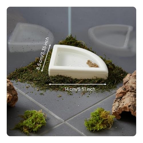 Gralara Split Design Reptile Bowl Multi-Functional Anti-Containment Worm to Clean Terrarium Accessory, L - size: L
