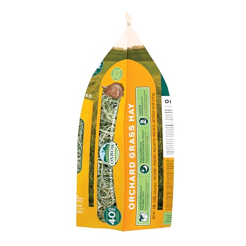 Oxbow Orchard Grass Hay for Small Pets – All-Natural Long Strand Fiber Hay for Rabbits, Guinea Pigs, Chinchillas, and Hamsters – Supports Digestive Health and Enrichment – 40 oz Bag - size: 40 Ounce (Pack of 1)