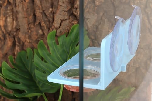 Crested Gecko Feeding Ledge with 10PCS Gecko Food Water Dish - Blue - color: Blue