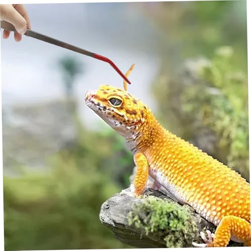 Feeding Tongs, 15 Inch Extra Long Stainless Steel Aquarium Tongs with Rubber Tip, Curved Long Tweezers Terrarium Feeder Tool for Reptile Tank Accessories