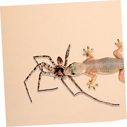 Eva Reptile Carpet Reptile Mat Washable Substrate for Tortoise Lizard Snake Bearded Dragon Terrarium Liner Easy Clean - color: Beige