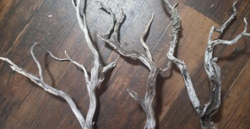 2 Pieces Natural Manzanita Ghostwood Branches - 18-20 Inches - Assorted Decorative Driftwood for Aquarium, Terrarium, and Home Decor