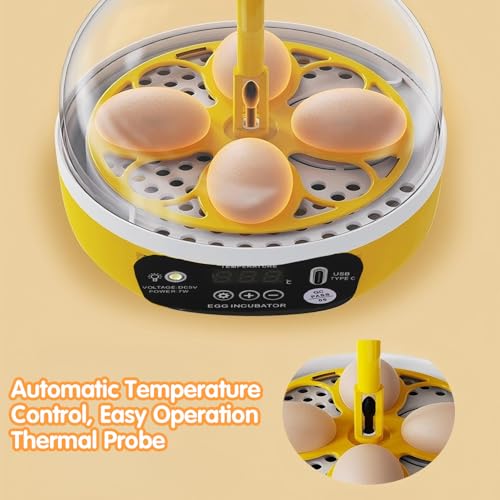 Tissting 4 Eggs Mini Incubator with Transparent Lid,7W Automatic Temperature Humidity Control,Household Small Poultry Hatching Machine,for Chickens Ducks Pigeons (Auto Turning) - color: 4 Eggs Auto Turning