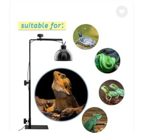 Reptile