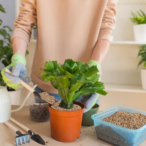 Sukh 14.6OZ Vermiculite - Organic Vermiculite for Gardening Plants Fine Horticultural Soil Amendments Bulk Additive Perfect Potted and Garden Professional Grade 5-8mm - size: 5-8MM