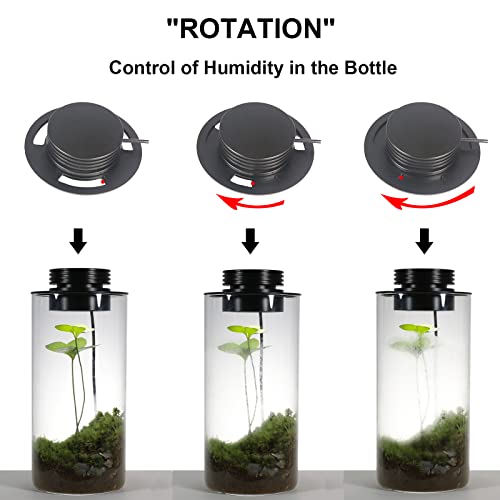 Glass Terrarium Plant Growing Lamp, for Vases Up to 5.9 Inches in Diameter, Light with Timer Auto On/Off, Betta Fish Tank, Indoor Plant Growth, Succulent, Miniature Gardening Landscape (10W 5.9IN) - size: 10W 5.9IN