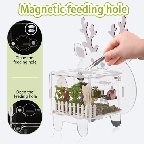 Acrylic Jumping Spider Enclosure with Magnetic Door - 4.7"x4.7"x3.5" Escape-Proof Habitat, Front Opening Terrarium for Tarantula, Reptiles & Insects