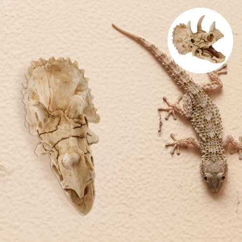VOSAREA Resin Dinosaur Skull Realistic Dinosaur Cave House Hideout for Snakes and Lizards, Highly Wear-Resistant Habitat Decoration Suitable for Reptile Terrariums and Aquarium Decor