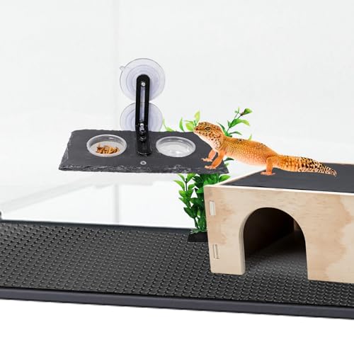 Reptile Tank Accessories, Slate Gecko Feeding Ledge with Suction Cups, Crested Gecko Food Dish, Food Bowl and Water Dish for Gecko, Chameleon, Frog and Other Small Reptile