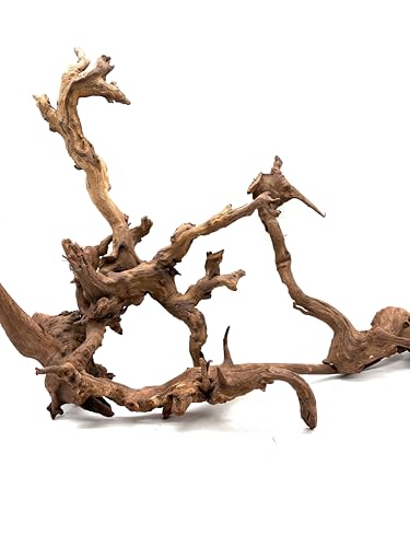 Large Generic Natural Coral Wood Branch Decoration, Brown Driftwood, 10 Inch, Waterproof, for Aquarium Terrarium Fish Tank, Reptile Climbing 12-24 inch 2Pc
