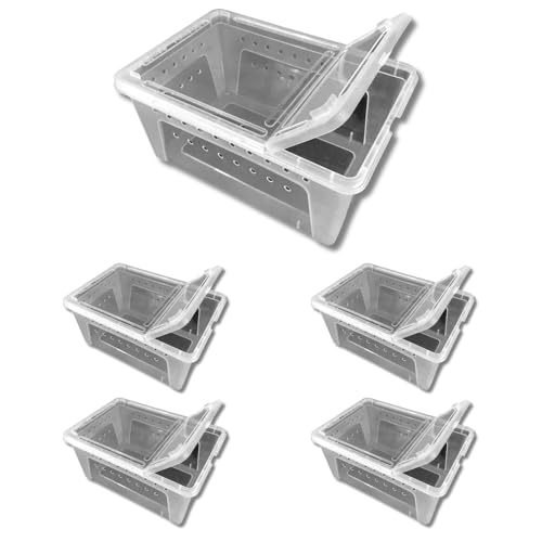 Jungle Bob - Clear Plastic Reptile Terrarium Box - Easy Pet Transportation - Enclosure for Small Herps - Side Ventilation - Clear View - Fade Resistant - Large - 12.5" x 8.5" x 6" - (5 Pack) - size: Large, style: 5 Pack