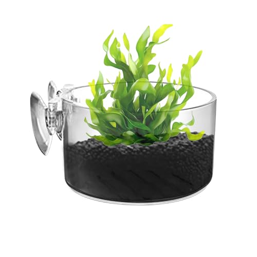 Clear Aquarium Plant Pot, Acrylic Suction Cup Holder, Aquatic Plant Container for Hydroponics, Terrarium Vivarium Pond Accessory, Holder with Design, Indoor Gardening Habitat - size: Large