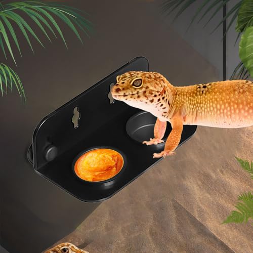 DONGKER Gecko Feeding Ledge,ABS Reptile Feeding Dish with 2 Pack Water Bowl & Suction Cup for Reptile Lizard Bearded Dragon