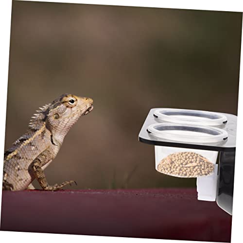BESPORTBLE 1set Gecko Feeder and Water Dish Suction Cups Versatile Reptile Tank Accessories Easy to Clean Feeding Dishes for Lizards and Other Reptiles Random Set