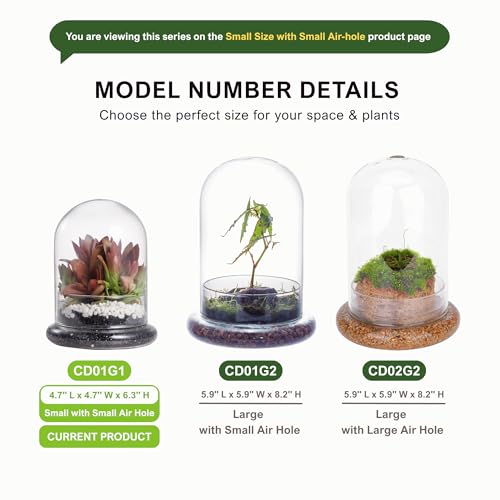 NCYP Small Clear Decorative Glass Terrarium Cloche with Air Hole - 4.7 x 4.7 x 6.3 Inches Glass Dome with Base for Miniature Plants - Display Storage (No Plants Included) - size: 4.7x4.7x6.3inches