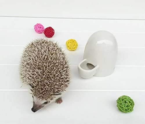 Dahey Drinking Water Feeder Ceramics Slient Bottle Waterer Automatic Small Pets for Hamster Hedgehog Chinchilla Ferret Small Guinea Pig, White, 8Oz