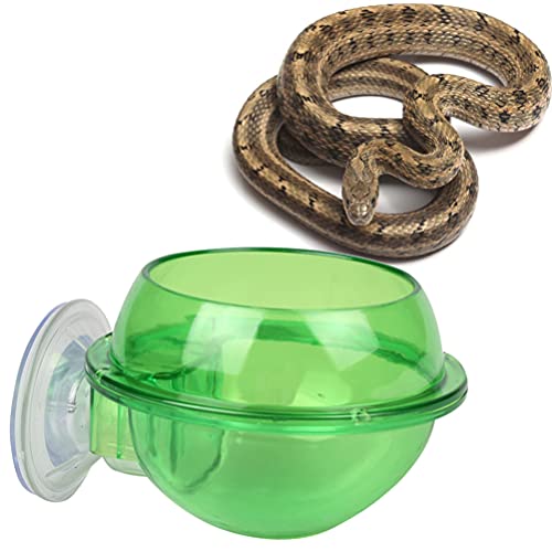 POPETPOP Pet Feeding Bowl Cup Drinking Food Feeder Container Lizard Turtle Reptile Chameleon Gecko Bearded Dragon