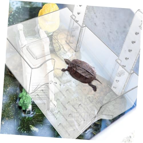 TOYANDONA Turtle Basking Platform Acrylic Wall Mounted Climbing Shelf for Turtles Reptiles Aquatic Pets Easy Installation Space Saving Aquarium Decor
