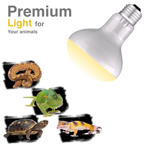 Reptile Heat Bulb Lamp, 2-Pack 100W Daylight Basking Spot, Bearded Dragon/Turtle/Lzard/Gecko Light Bulb, UVA Heat Lamp, Basking Light for Reptiles - size: 100W