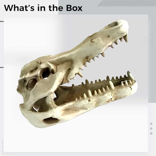 Dinosaur Skull Resin Ornament for Reptile Tanks and Aquariums, Simulated Bone Design, Hiding Cave for Snakes, Lizards, and Spiders, Terrarium Decoration, 4.7 x 2.2 x 3 in