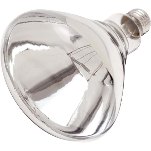 Satco S4999 Medium Light Bulb in Bronze/Dark Finish, 6.50 inches, 1 Count (Pack of 1), Clear Heat