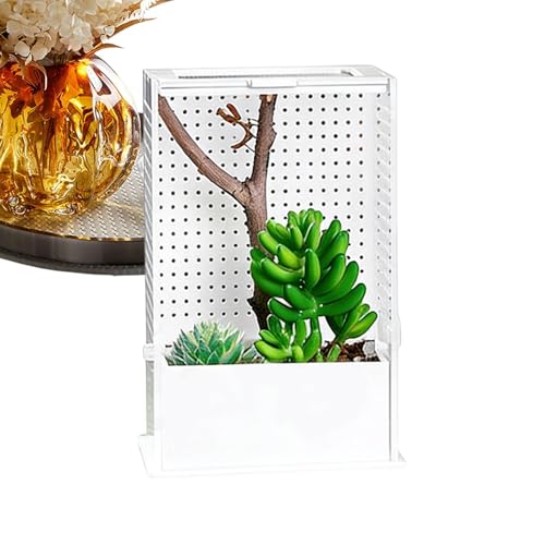 Acrylic Tank, Praying Mantis Enclosure, 12x12x12 Inches Clear Terrarium with Ventilation Mesh, Reptile Habitat, Cage with Secure Lid, Enclosure for Small Reptiles and Spiders - size: Small