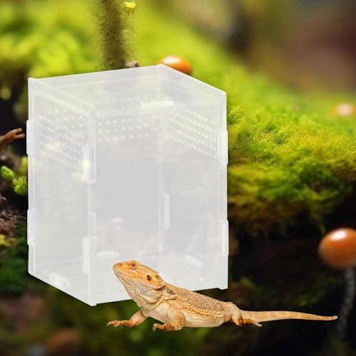 Reptile Breeding Box Terrarium Clear Animal Habitat Cage with Ventilation Holes for Geckos Frogs Hermit Crabs- 8x7x10cm - size: 8x7x10cm